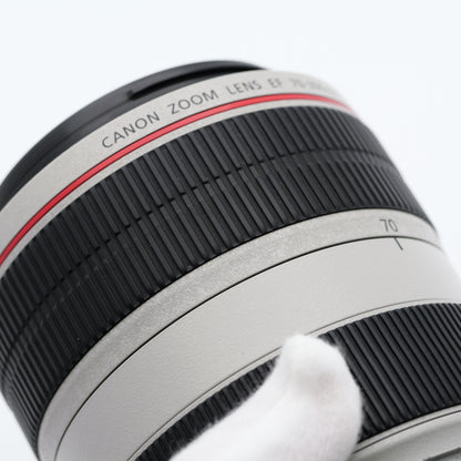 Canon 70-300mm F4-5.6 L IS USM レンズ キヤノン EFマウント