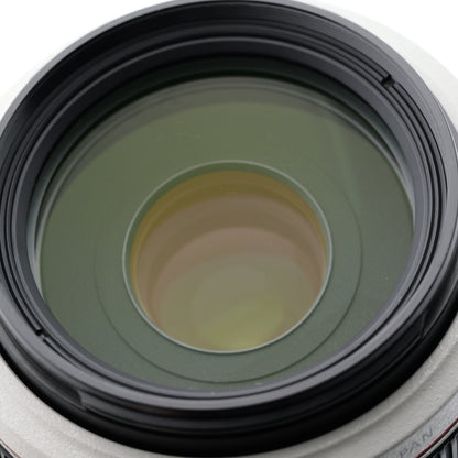 Canon 70-300mm F4-5.6 L IS USM レンズ キヤノン EFマウント