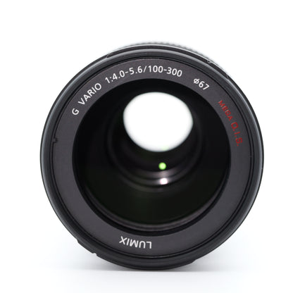 Panasonic 100-300mm F4.0-5.6 H-FS100300 レンズ パナソニック マイクロフォーサーズ