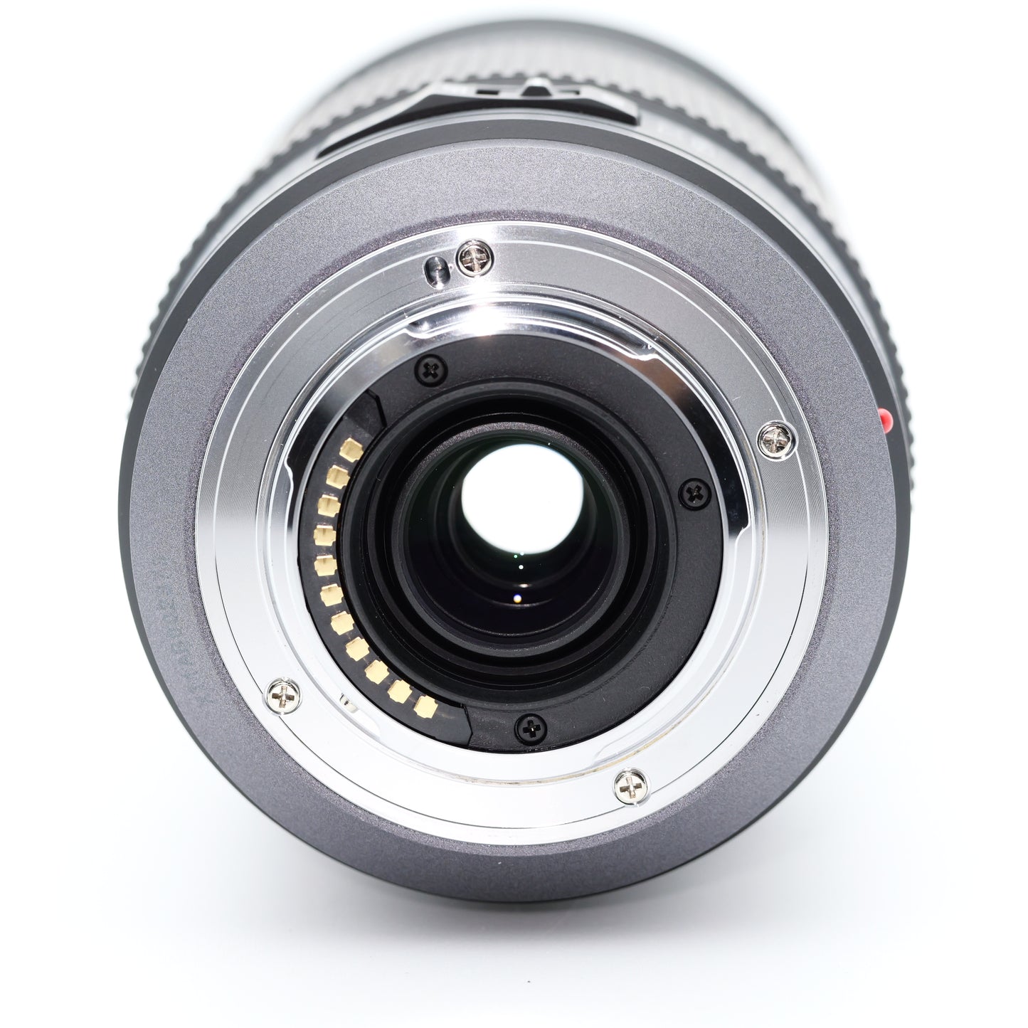 Panasonic 100-300mm F4.0-5.6 H-FS100300 レンズ パナソニック マイクロフォーサーズ