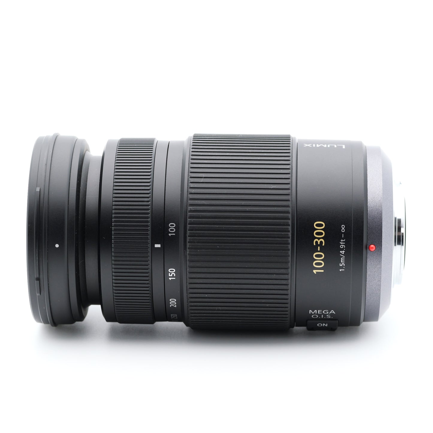 Panasonic 100-300mm F4.0-5.6 H-FS100300 レンズ パナソニック マイクロフォーサーズ