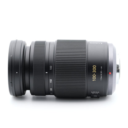 Panasonic 100-300mm F4.0-5.6 H-FS100300 レンズ パナソニック マイクロフォーサーズ