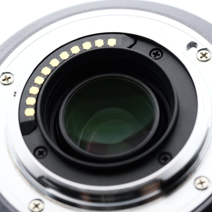 Panasonic 100-300mm F4.0-5.6 H-FS100300 レンズ パナソニック マイクロフォーサーズ