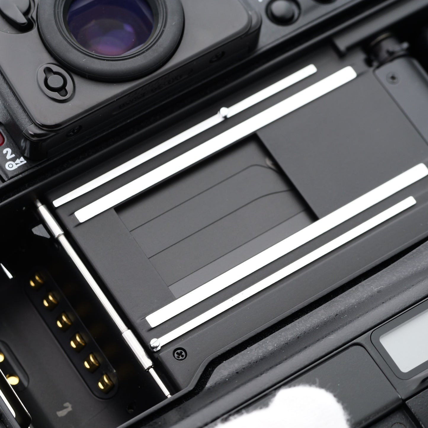 Nikon F5 フィルムカメラ ニコン Fマウント