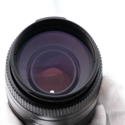 SONY 75-300mm F4.5-5.6 SAL75300 レンズ ソニー Aマウント