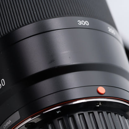 SONY 75-300mm F4.5-5.6 SAL75300 レンズ ソニー Aマウント
