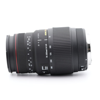 SIGMA APO 70-300mm 4-5.6 DG MACRO レンズ キヤノン EFマウント