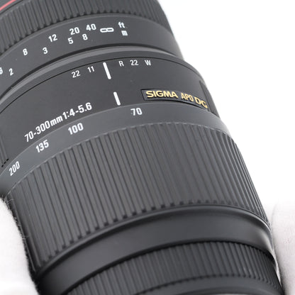 SIGMA APO 70-300mm 4-5.6 DG MACRO レンズ キヤノン EFマウント