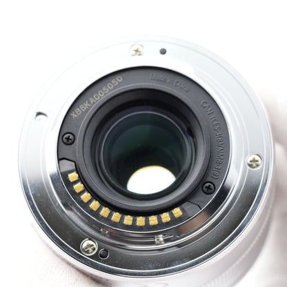 Panasonic 35-100mm F4-5.6 H-FS35100 シルバー レンズ パナソニック マイクロフォーサーズ