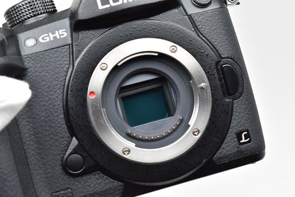Panasonic DC-GH5 ミラーレス一眼 パナソニック マイクロフォーサーズマウント