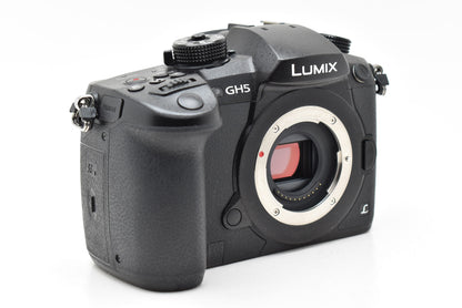 Panasonic DC-GH5 ミラーレス一眼 パナソニック マイクロフォーサーズマウント