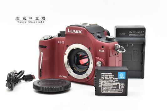 Panasonic LUMIX DMC-GH1 ミラーレス一眼 パナソニック マイクロフォーサーズマウント