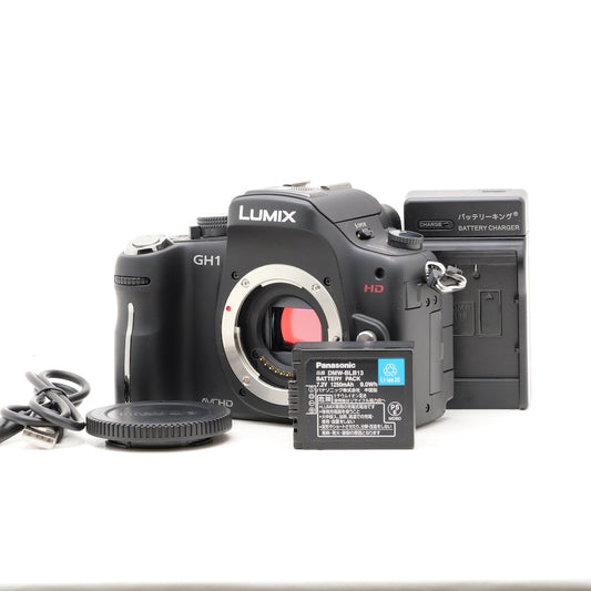 Panasonic LUMIX DMC-GH1 ミラーレス一眼 パナソニック マイクロフォーサーズマウント