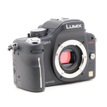 Panasonic LUMIX DMC-GH1 ミラーレス一眼 パナソニック マイクロフォーサーズマウント