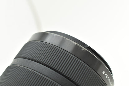 Sony DT 55-300mm F4.5-5.6 SAL55300 レンズ ソニー Aマウント
