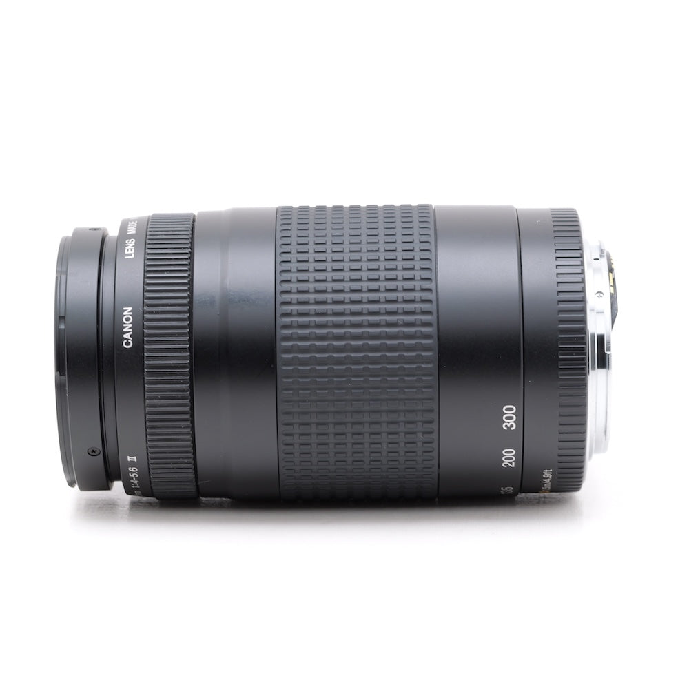 訳有品 Canon EF 75-300mm F4-5.6 II レンズ キヤノン EFマウント