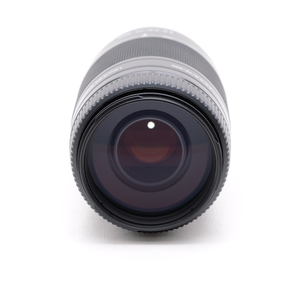 SONY 75-300mm F4.5-5.6 SAL75300 レンズ ソニー Aマウント