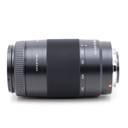 SONY 75-300mm F4.5-5.6 SAL75300 レンズ ソニー Aマウント