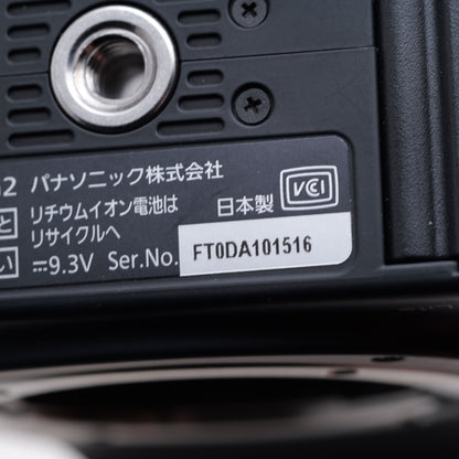 Panasonic LUMIX DMC-G2 ミラーレス一眼 パナソニック マイクロフォーサーズ