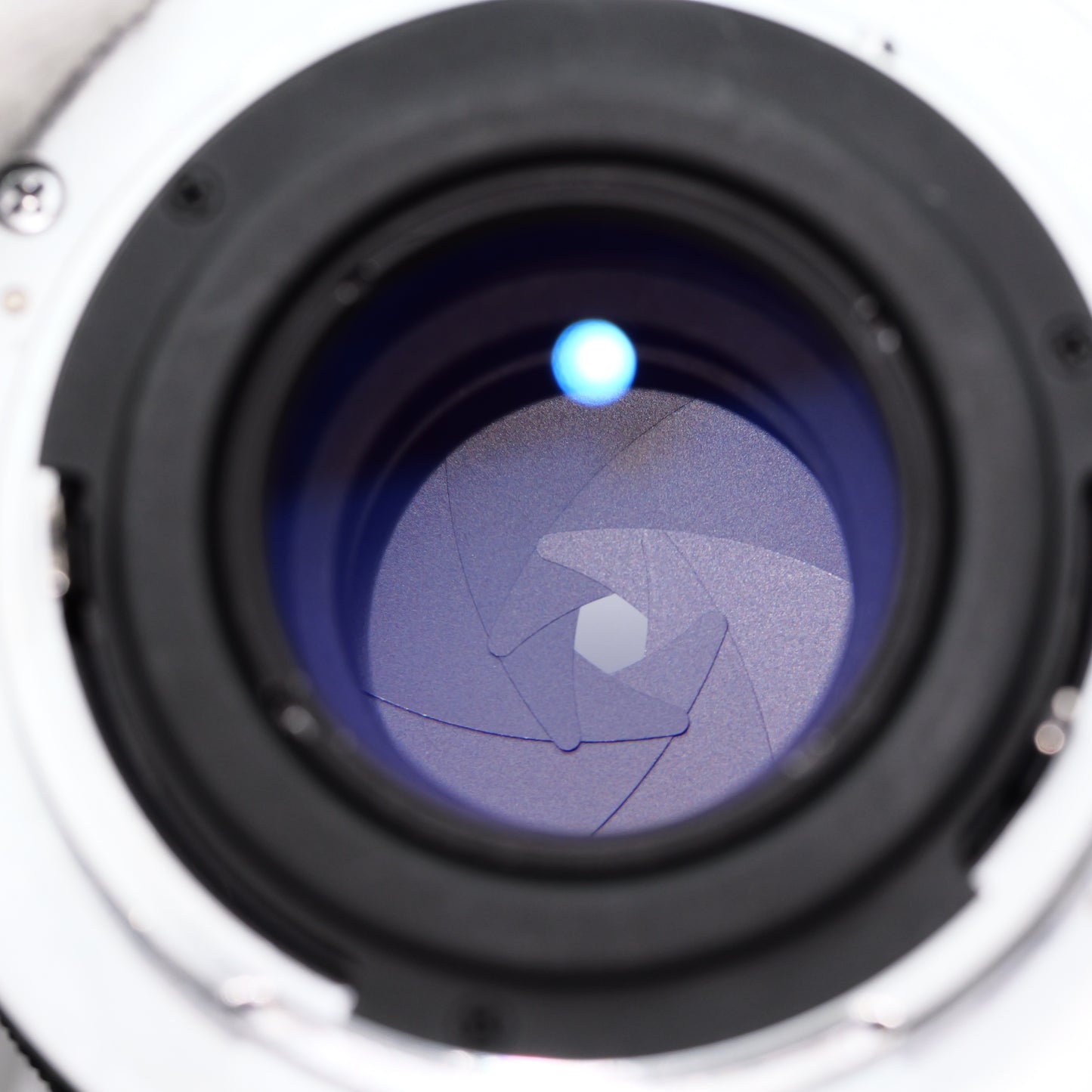 OLYMPUS E.ZUIKO AUTO-T 100mm F2.8 Macro レンズ オリンパス フォーサーズマウント