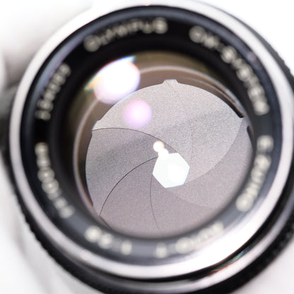 OLYMPUS E.ZUIKO AUTO-T 100mm F2.8 Macro レンズ オリンパス フォーサーズマウント