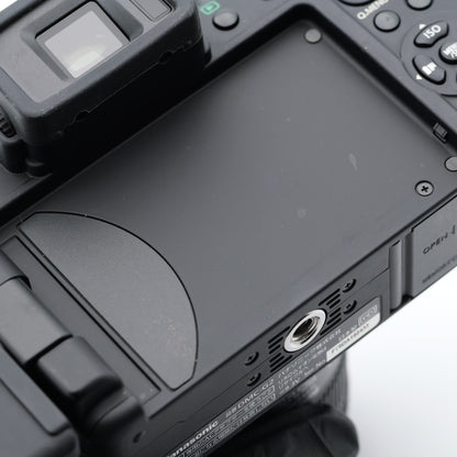 Panasonic DMC-G2 14-42mm F3.5-5.6 ミラーレス一眼 パナソニック マイクロフォーサーズマウント