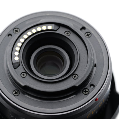 Panasonic DMC-G2 14-42mm F3.5-5.6 ミラーレス一眼 パナソニック マイクロフォーサーズマウント