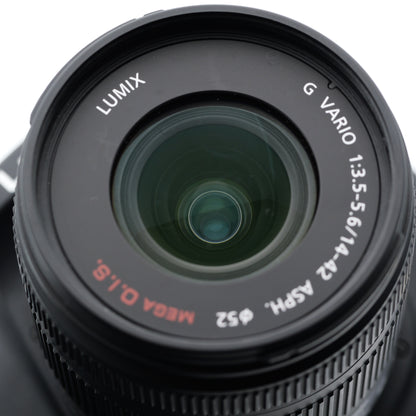 Panasonic DMC-G2 14-42mm F3.5-5.6 ミラーレス一眼 パナソニック マイクロフォーサーズマウント